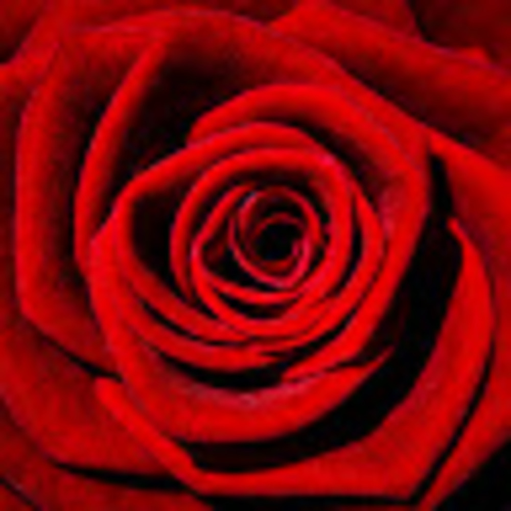 Meet your Posher, Marla